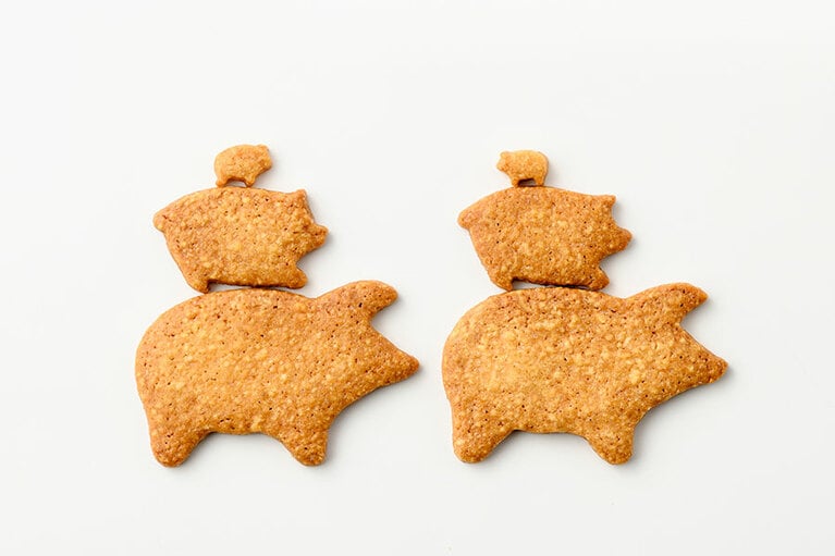 Sweets works Éclair「cochon biscuit コションビスキュイ(親子ぶたのビスケット)」1,296円(100g)／徳島県