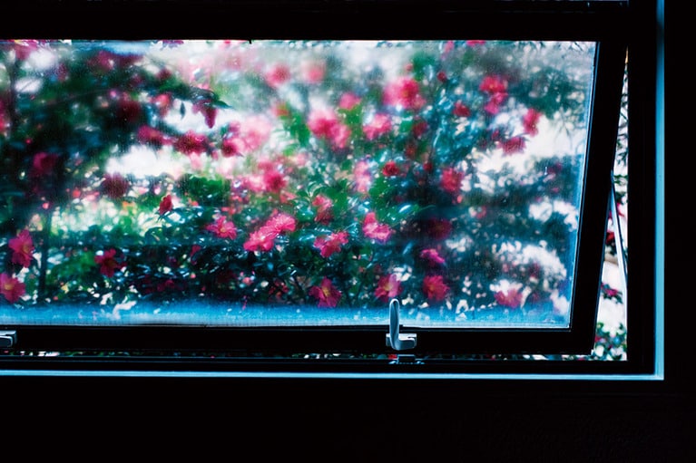 窓から美しい自然が広がる。