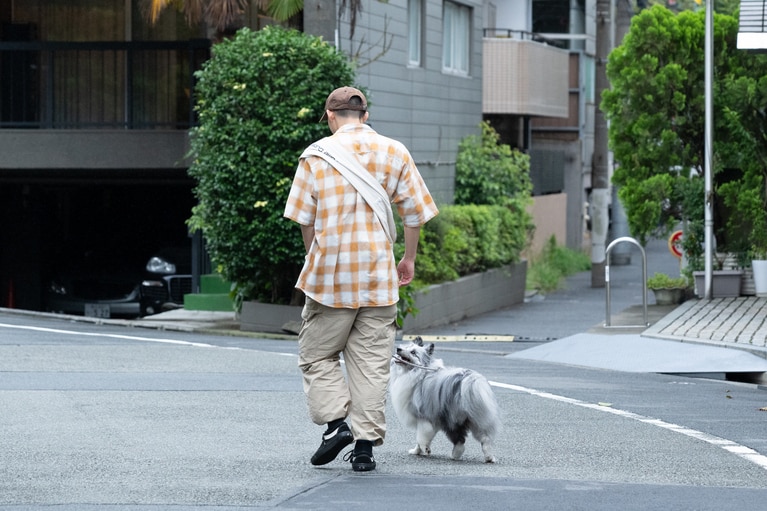どんぐりたけしさんとぽぬのせき。