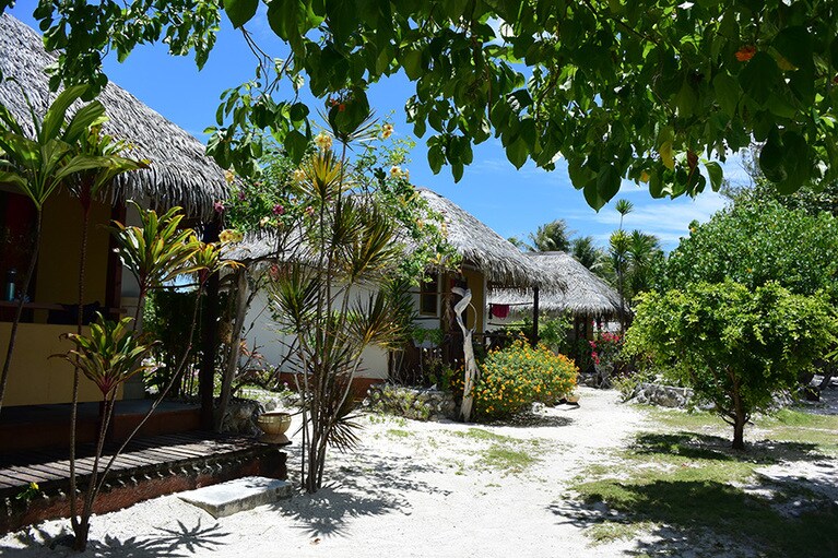 手入れの行き届いたガーデンも見どころ。夕暮れになると、ティアレの花がふんわりと香る。