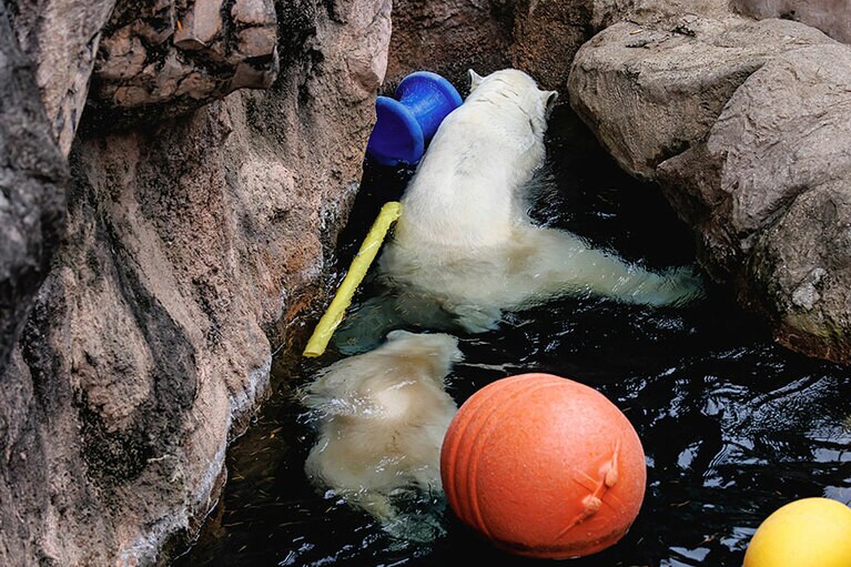 イッちゃんとライ。