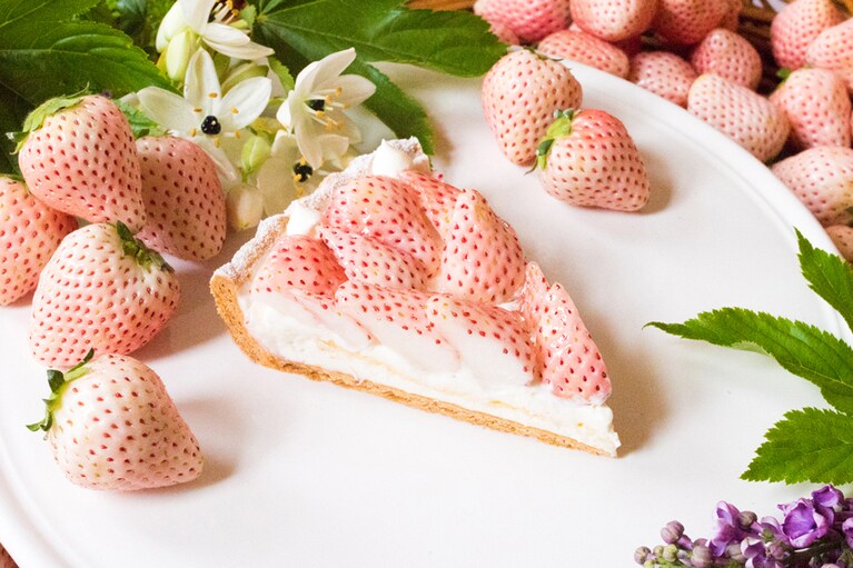 「特選 白イチゴ～初恋の香り～のタルト」piece 1,620円／whole(21cm)12,960円。