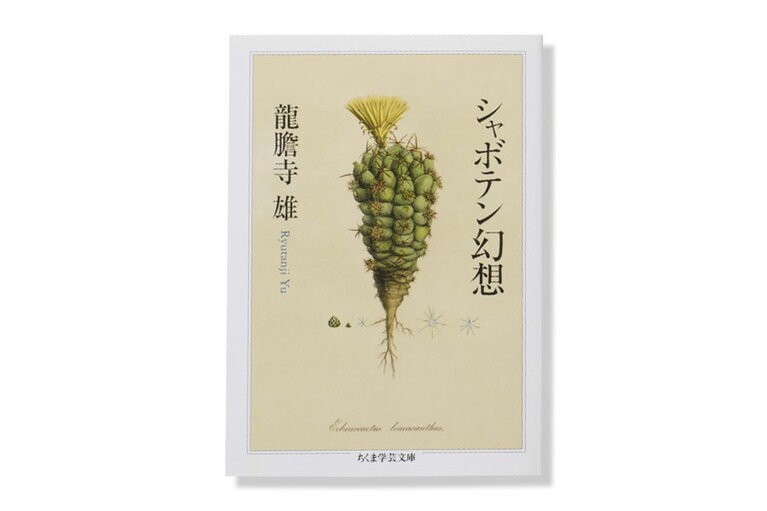 『シャボテン幻想』。