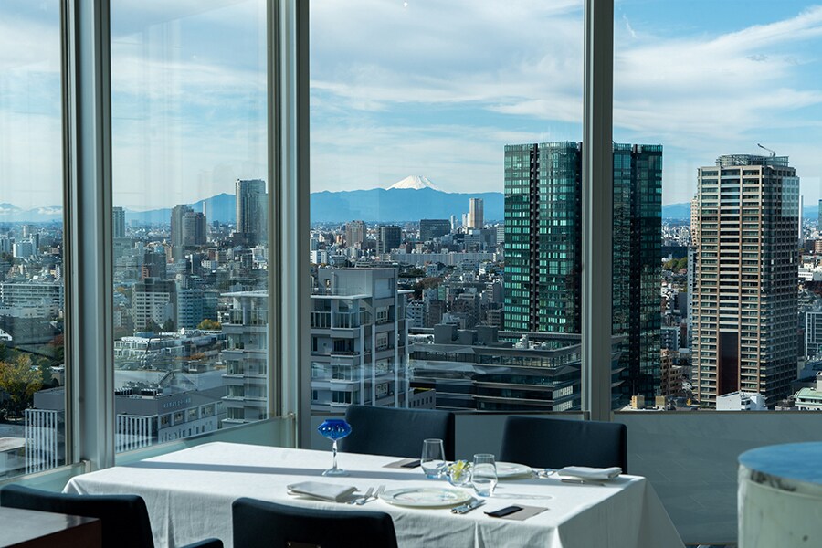 晴れている日には富士山も一望できる。「レストラン ブリーズヴェール」からの景色。
