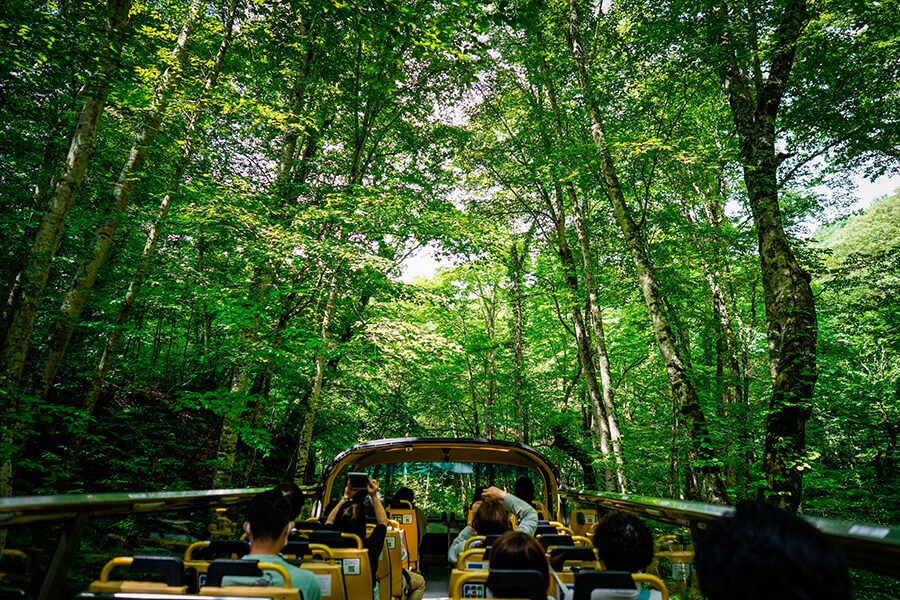 星野リゾート 奥入瀬渓流ホテル［青森／奥入瀬渓流温泉］緑に包まれる渓流オープンバスツアー。