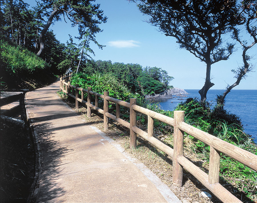 荒磯遊歩道・二の浜遊歩道。