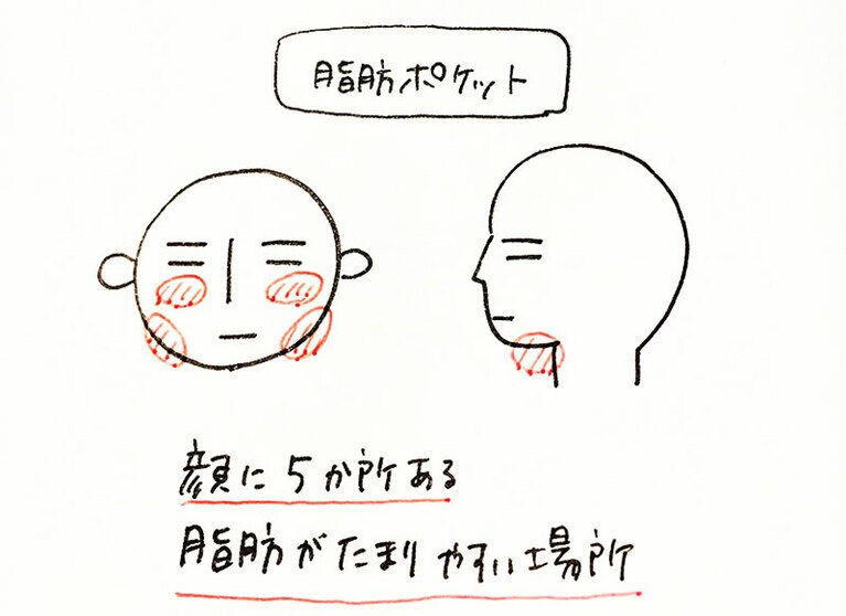 脂肪ポケット。