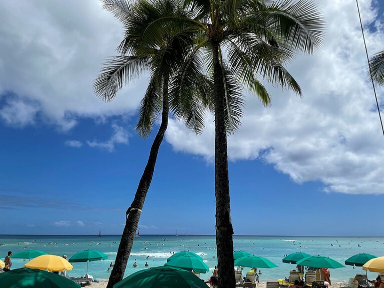 「モアナ サーフライダー」のレストラン「ザ・ベランダ・アット・ザ・ビーチハウス」の席から一望できるワイキキビーチ。