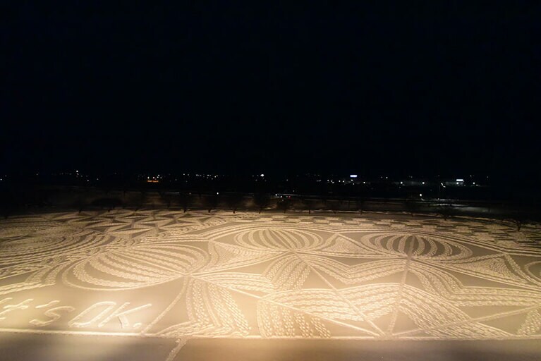 冬の田んぼアート。