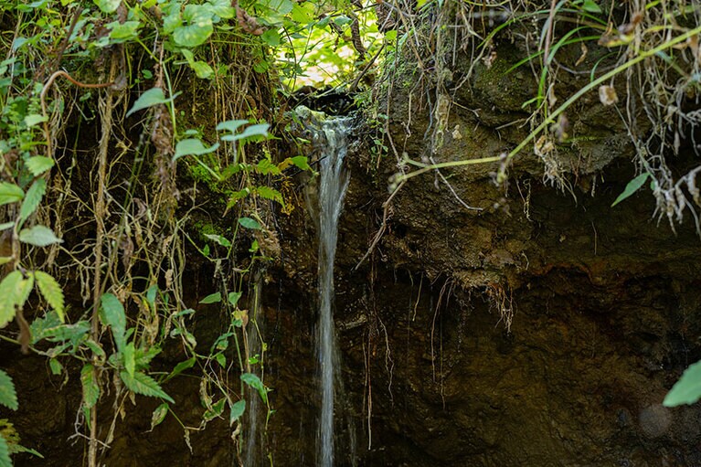 新潟県・里山十帖の秋