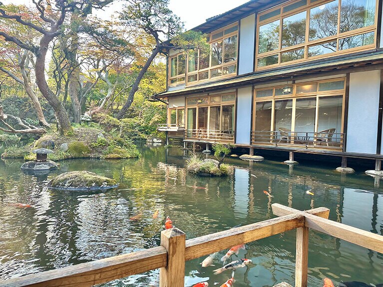 華の池では鯉が優美に泳いでいる。右手に見えるのは桐の棟。