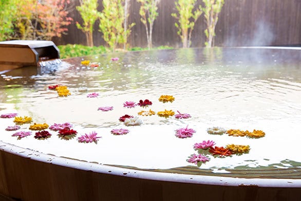 ガーベラの花を浮かべた露天風呂も 星野リゾート 界 で春の花を愛でる 至福のホテル最新ニュース