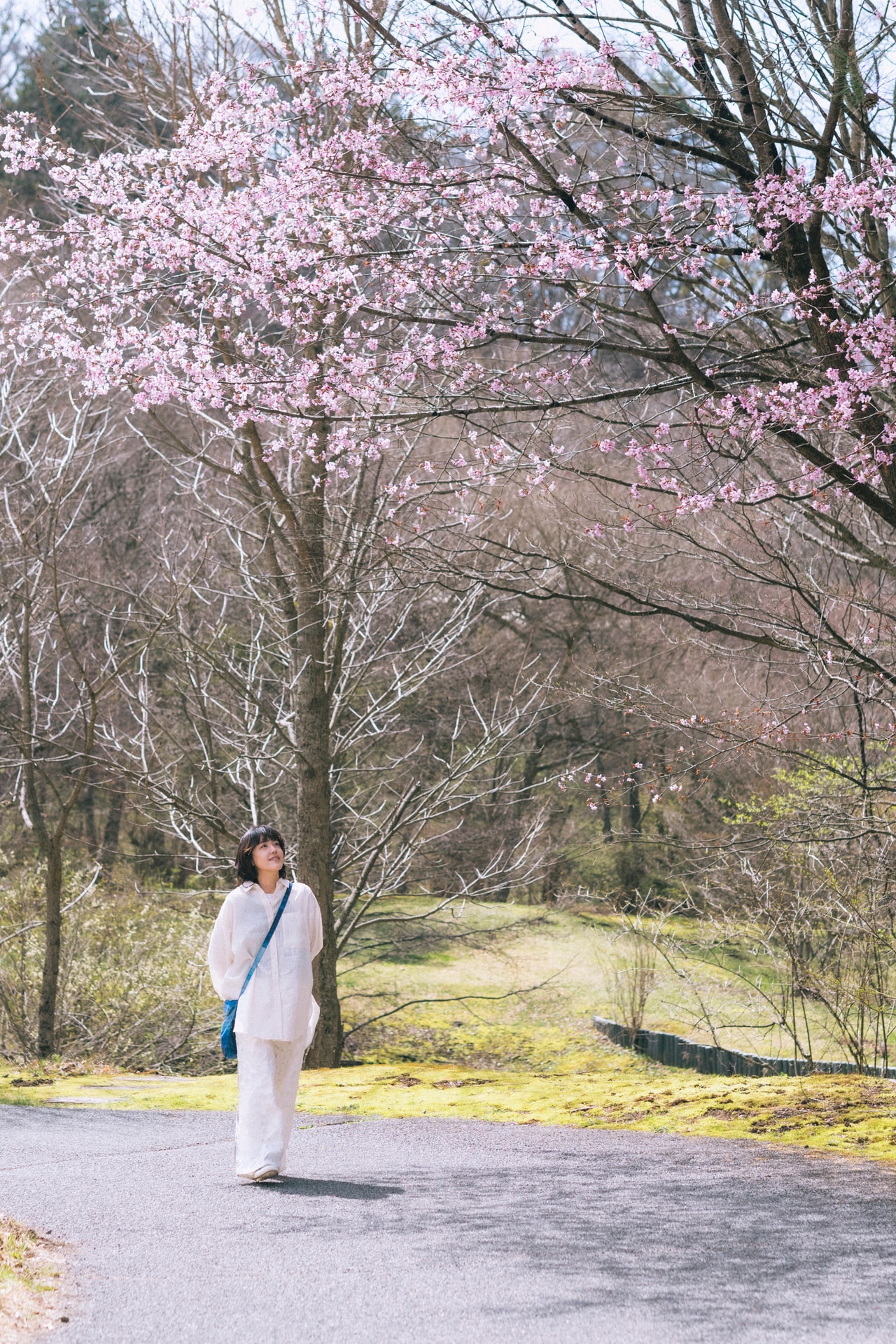 「2回も桜が満開の様子を見ることができるなんて、なんだか贅沢」（端さん）