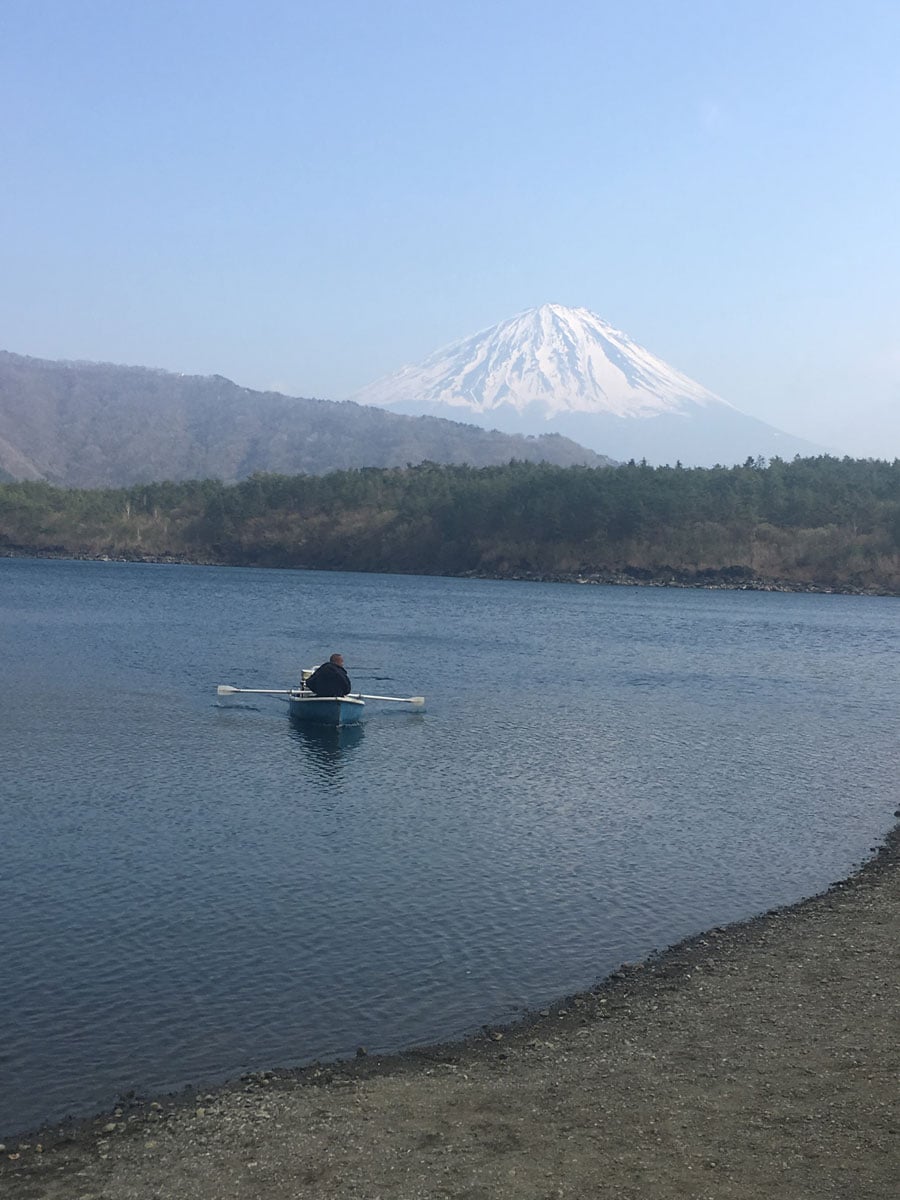 西湖の「根場浜」より(4月撮影・曇りの午前)。