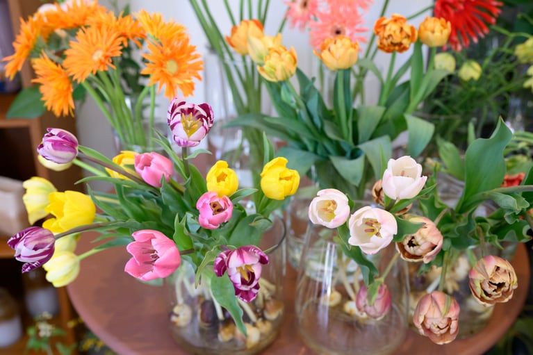 球根付きのオーガニック栽培のチューリップ。化学農薬を使わずに栽培されたオーガニックフラワーは、地球にも人にもやさしい。