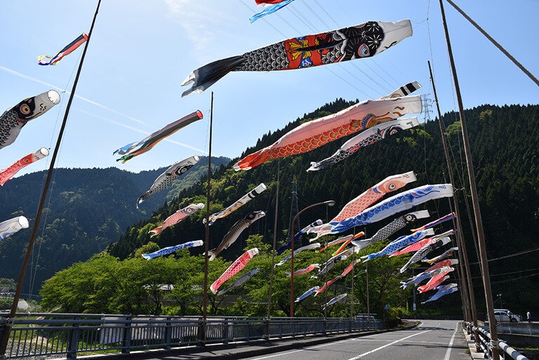 日野川のこいのぼり（鳥取県江府町）