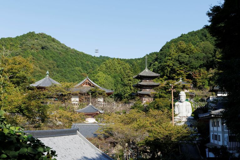眼病封じで名高い壷阪寺では、御祈祷済みの目薬を販売している。