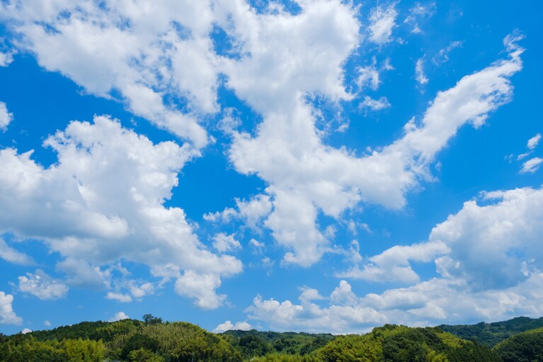 写真はイメージです。写真：rammy2/イメージマート