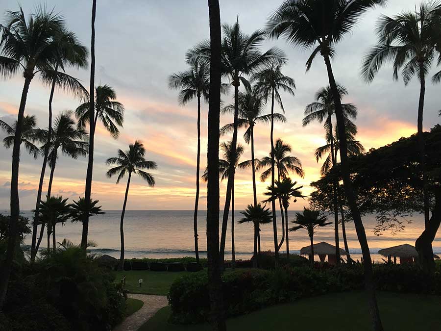 1年中サンセットを眺められるカアナパリビーチで、刻々と変わる夕焼けを見て1日を終える。この辺りのホテルはどこもヤシの木が多く配置されていて、旅情をかきたてられる。