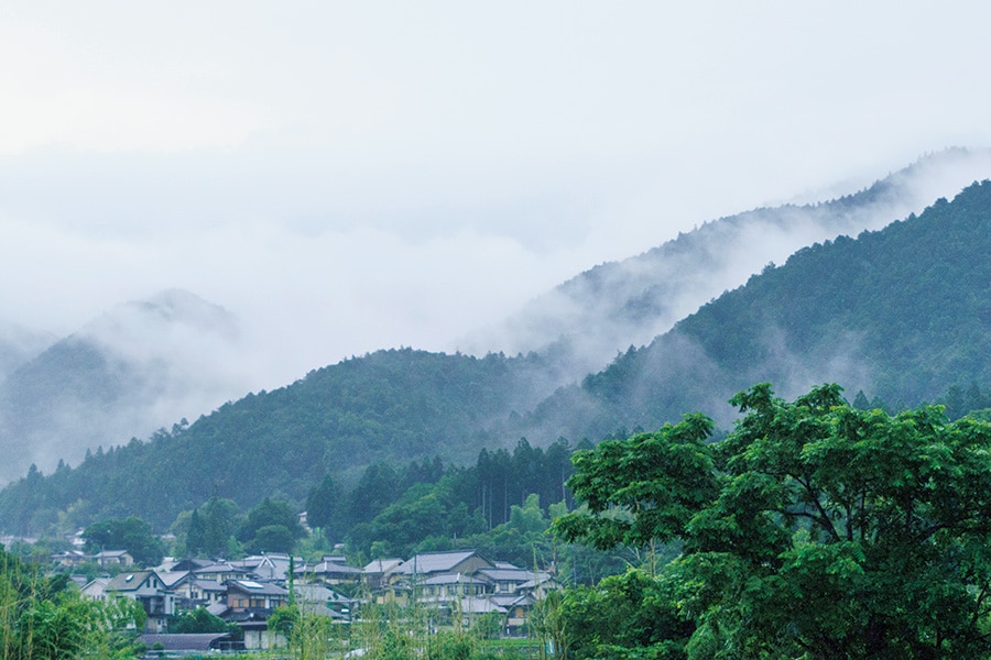 「somushi ohara」朝靄が幻想的。