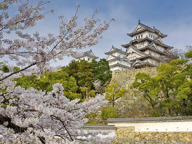 化粧直しを終えた姫路城の輝く白さは 何年ぐらい保たれるものなのか 今日の絶景