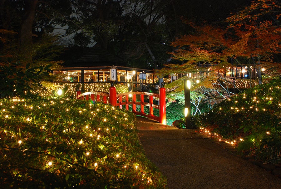 日本庭園のライトアップ。