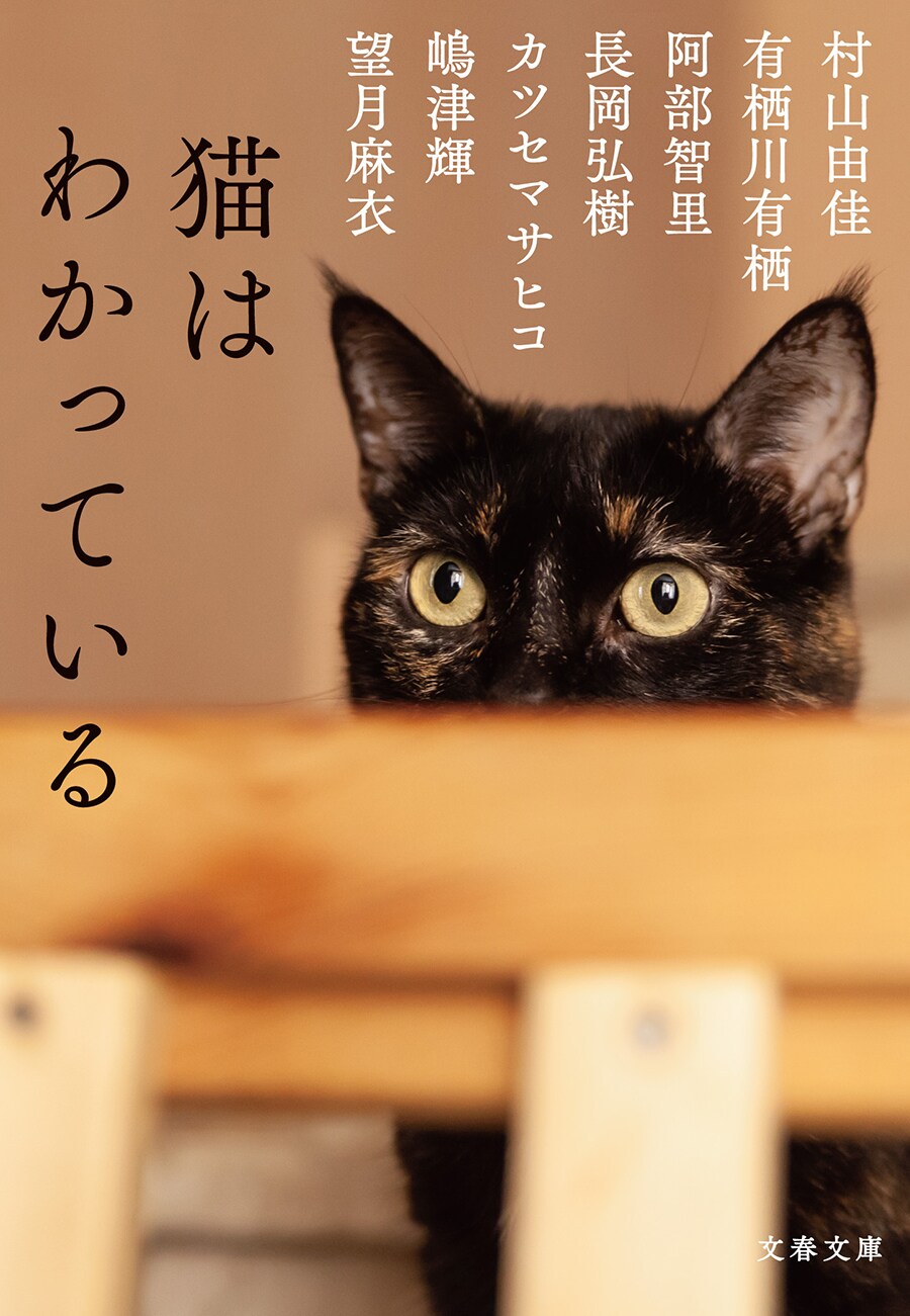 『猫はわかっている』(村山由佳、有栖川有栖、阿部智里、長岡弘樹、カツセマサヒコ、嶋津輝、望月麻衣)