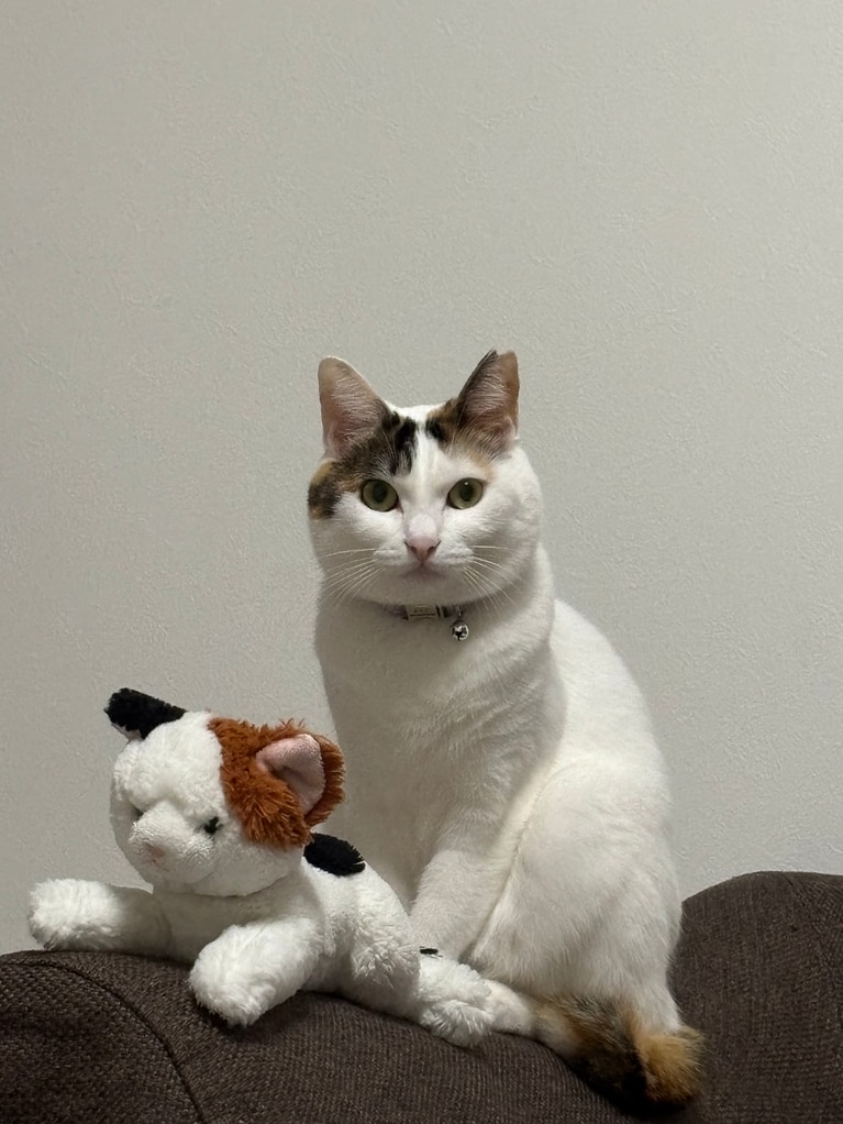 まる子 ♀ 3歳。