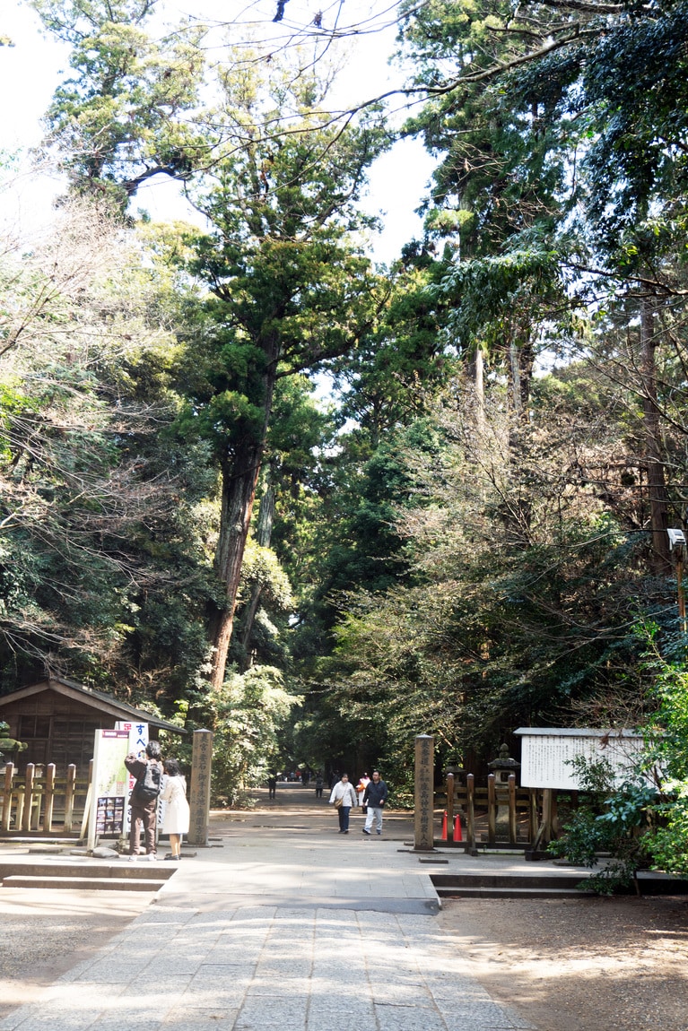 町の真ん中に鎮座する鹿島神宮を覆う森はまさに鎮守の森という佇まい。
