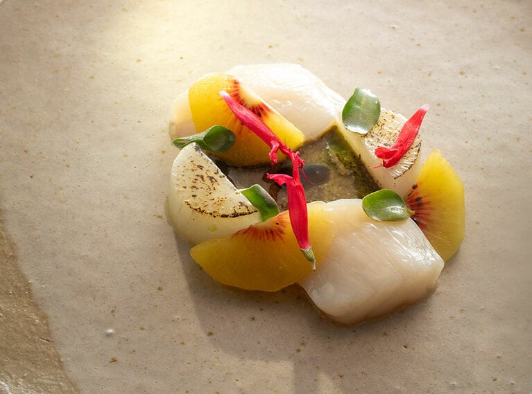 レモンでさっとマリネしたフレッシュな帆立貝。表面をキャラメリゼした大根、かぼちゃの種のプラリネソースで。