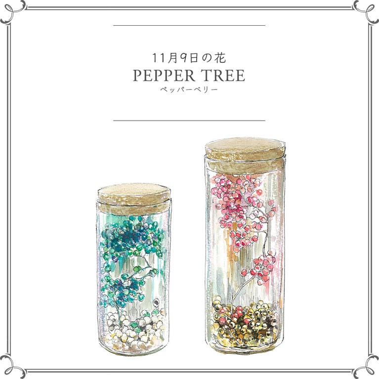 11月9日の花「ペッパーベリー」