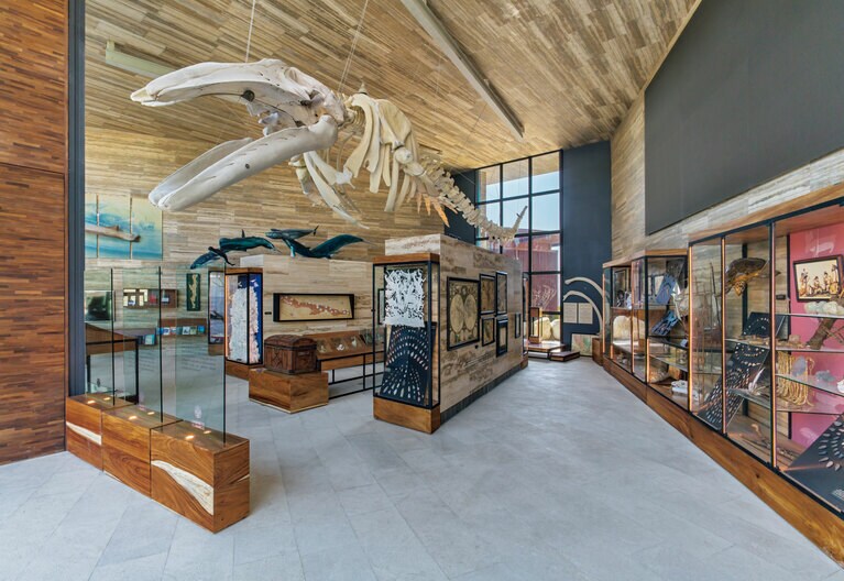 リゾート内のガビネーテ･デル･バルコ博物館。全長13mのコククジラの骨格標本が圧巻。