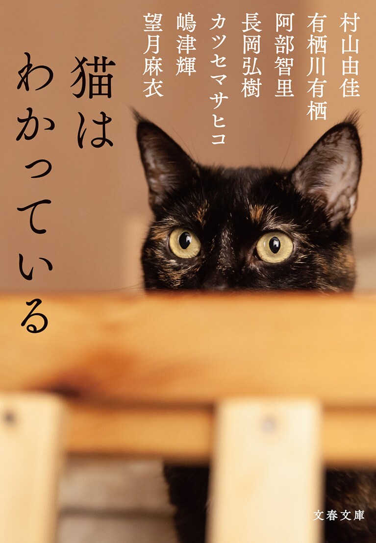 『猫はわかっている』(村山由佳、有栖川有栖、阿部智里、長岡弘樹、カツセマサヒコ、嶋津輝、望月麻衣)