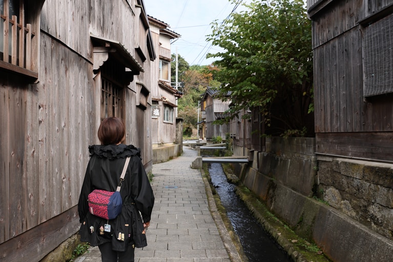 迷路のような路地に100棟を超える板壁の民家が密集している宿根木地区。