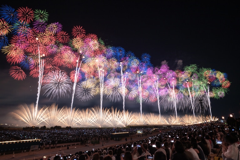 「長岡花火フェニックス千輪」　加藤菜実 長岡市