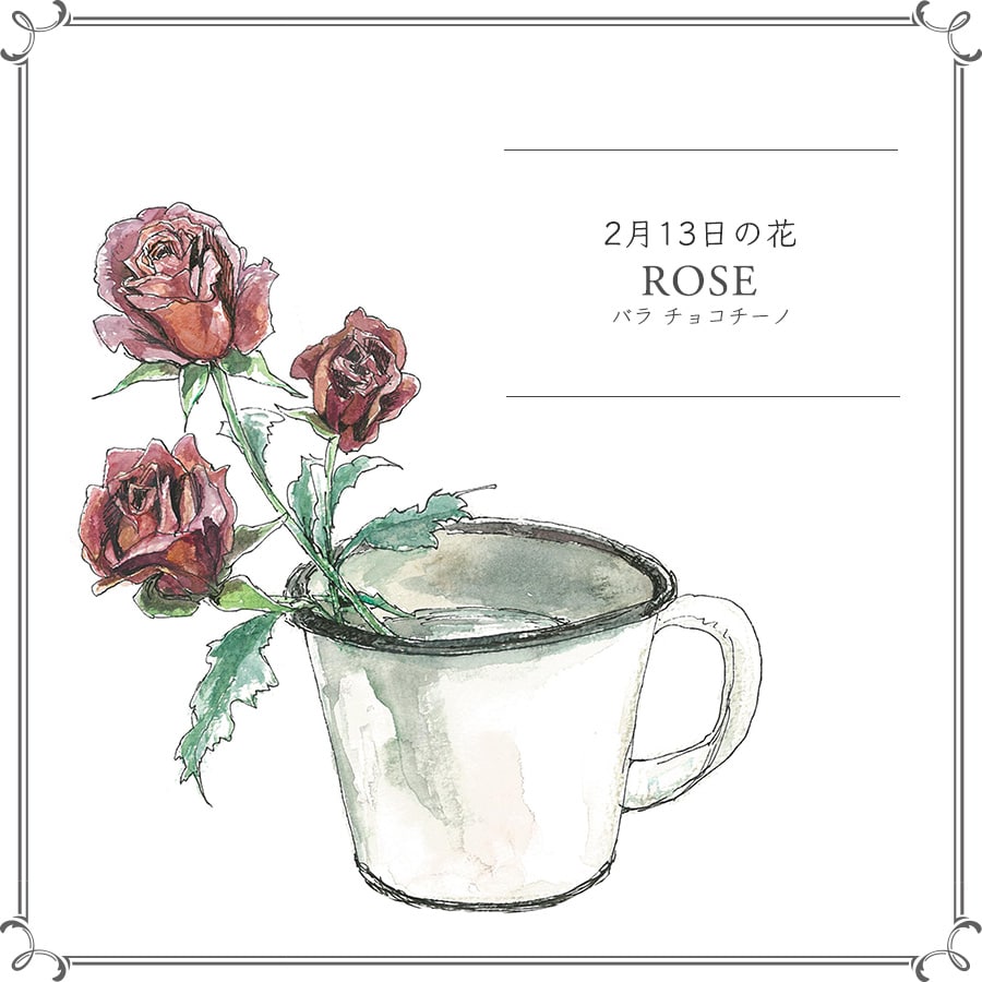 2月13日の花「バラ チョコチーノ」