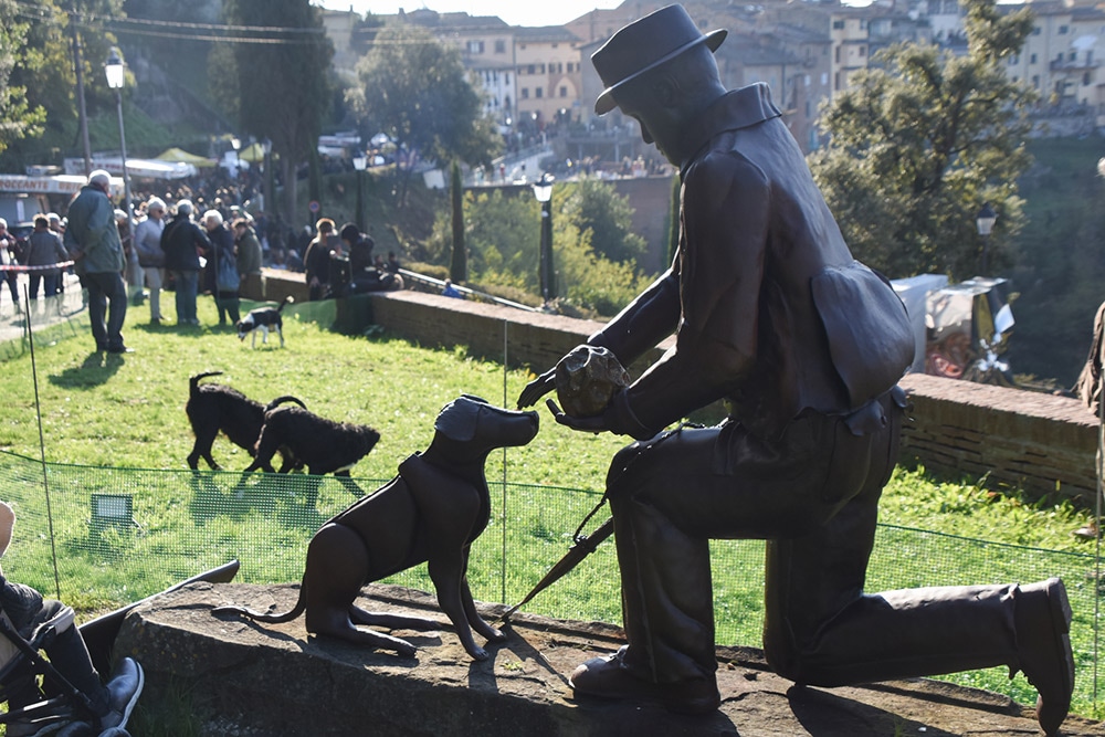 トリュフ犬の銅像とトリュフ採集のデモンストレーション。