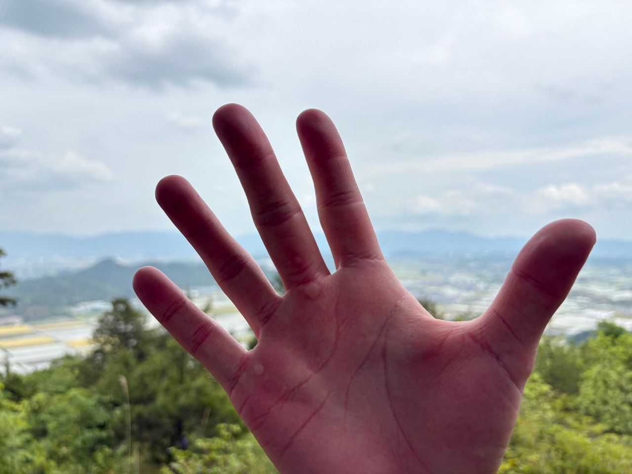 雪野山(標高308m)の山頂での一枚。カヤックと自転車をこいだ手には、豆ができていた。