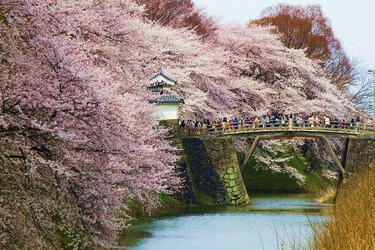日本の春・厳選風景16年【 風景写真 3-4月号　2007〜2022年】16冊 驚きの値段で 日本の春・厳選風景16年【 風景写真 3-4月号 2007