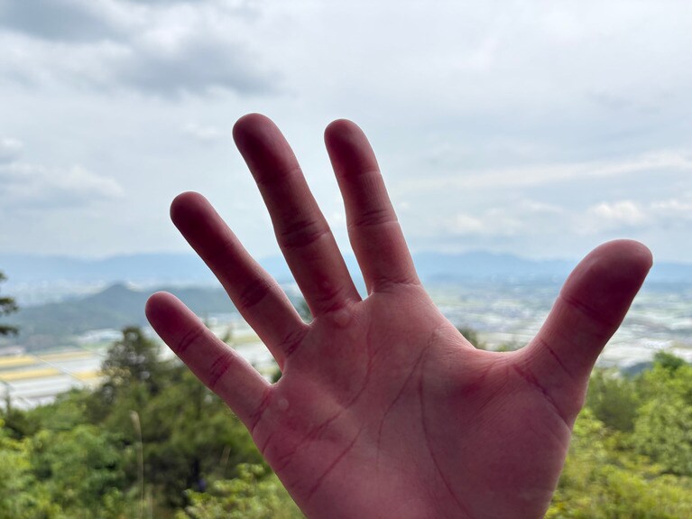 雪野山（標高308m）の山頂での一枚。カヤックと自転車をこいだ手には、豆ができていた。