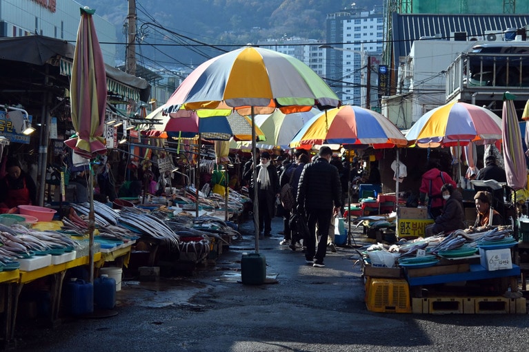 どこか昭和な香りもする、チャガルチ市場。新鮮かつリーズナブルな魚介が並びます。