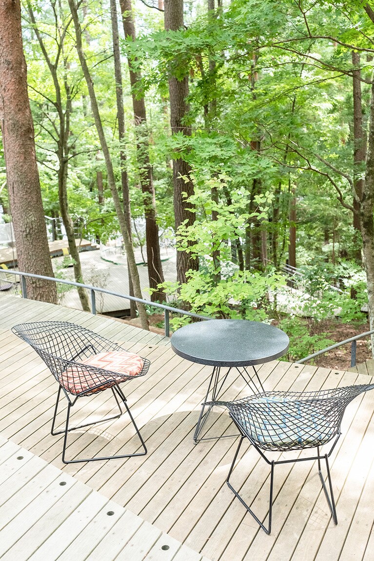 朝のクラウドテラスはより爽やか。野鳥の鳴き声に気持ちのいい一日のスタート。