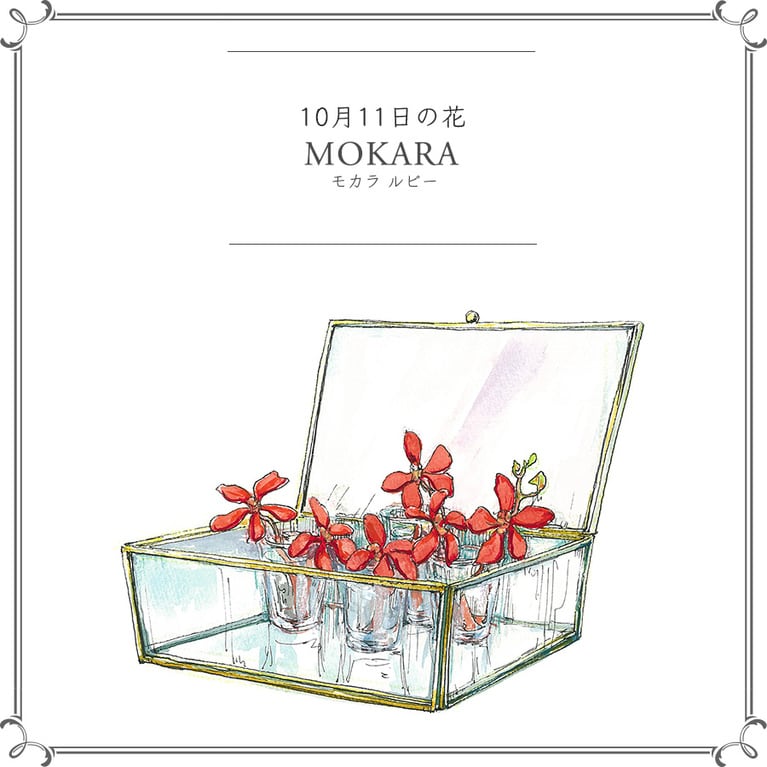 10月11日の花「モカラ ルビー」