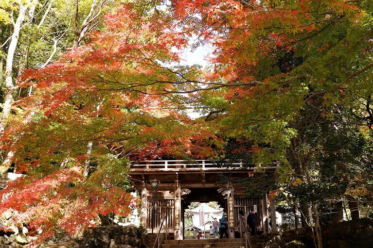 大窪寺。