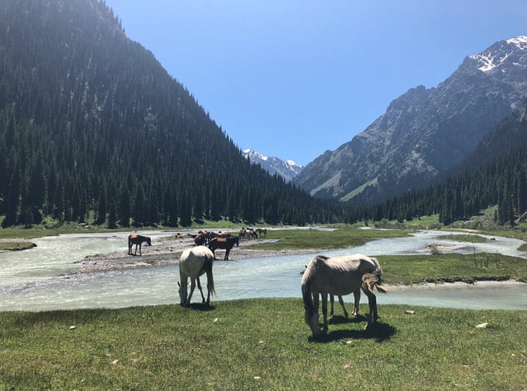 『ロード・オブ・ザ・リング』に出てくるような光景。