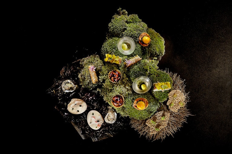 各シェフが腕を振るうのは数日間のみ。その時、その場所でしか味わえない唯一無二のガストロノミー体験が提供される。写真はダニ・ガルシア氏の一皿。