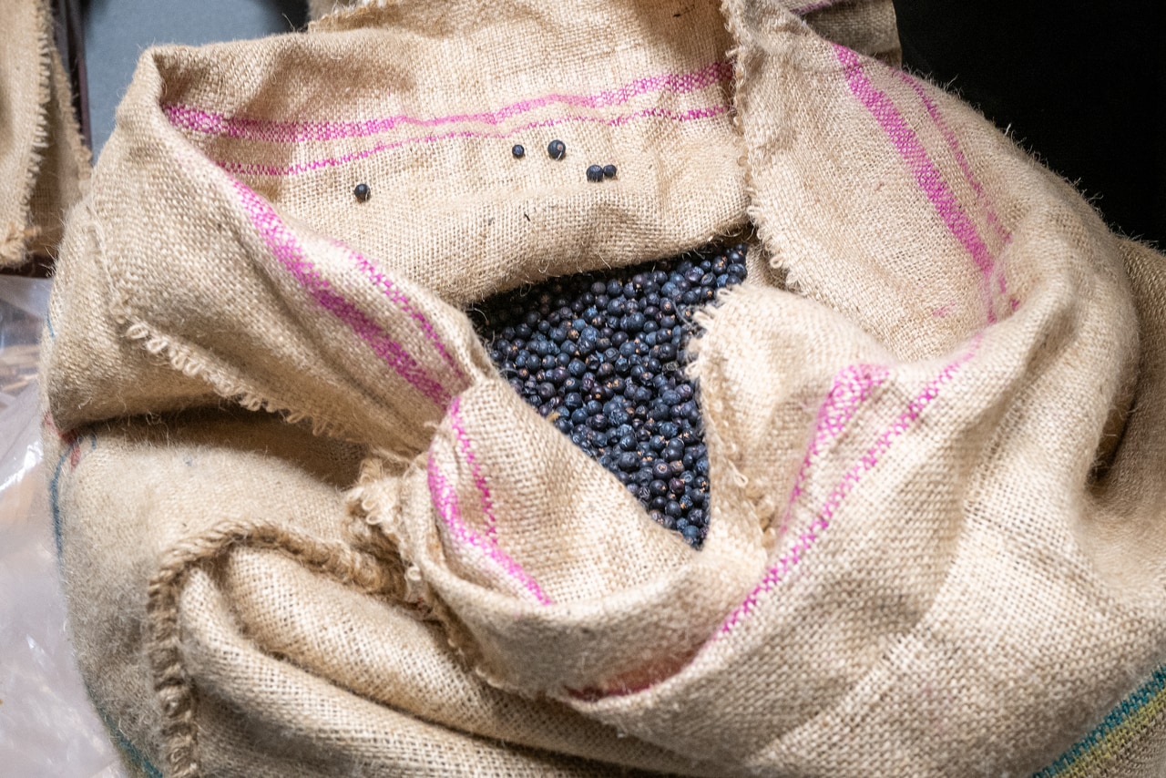 冷凍室に眠るジュニパーベリー。