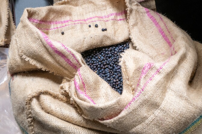 冷凍室に眠るジュニパーベリー。