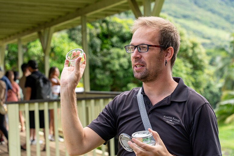 タロイモを蒸してつぶした“ポイ”など、ハワイの昔ながらの食事について、日本語での説明も。