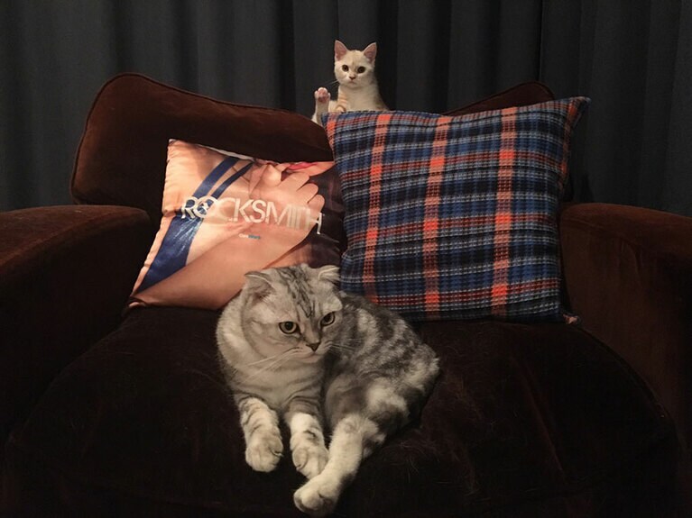 ソファーでくつろぐコピーくんとぽこ美ちゃん。